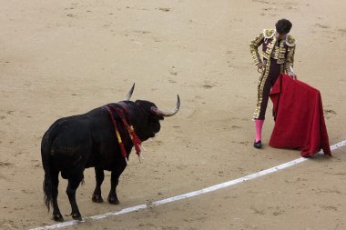 Torero