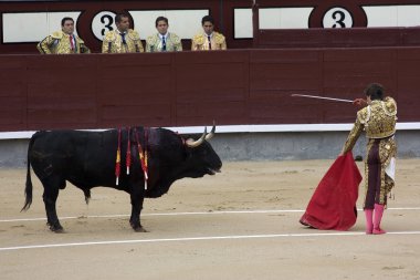 Torero