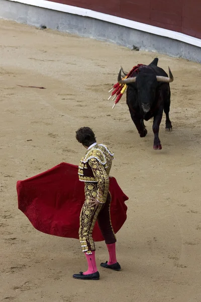 Torero