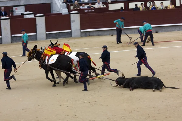 tipik bir İspanyol boğa güreşi sonu