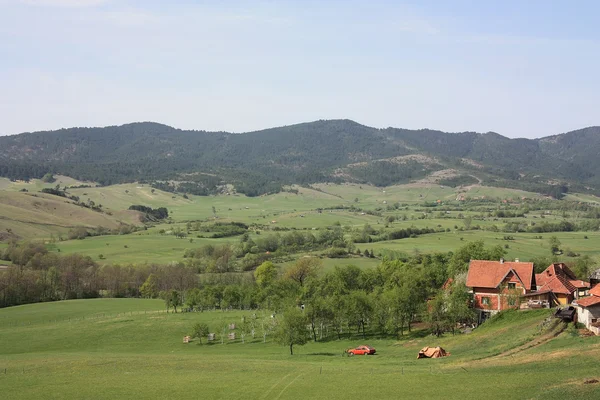 Tara es una montaña situada en el oeste de Serbia . Imágenes de stock libres de derechos
