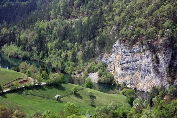 Bosna ve Hersek ile Sırbistan arasındaki sınır çoğunu oluşturur drina Nehri. — Stok fotoğraf