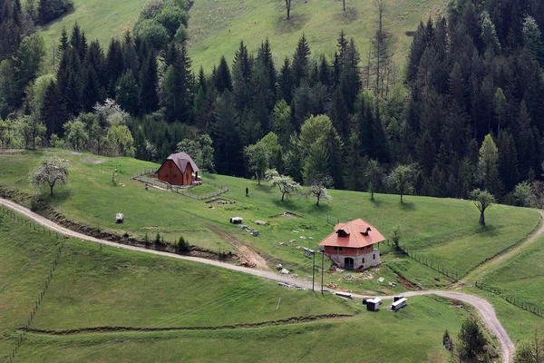 Tara é uma montanha localizada no oeste da Sérvia . Imagens De Bancos De Imagens