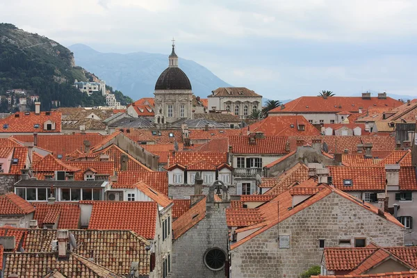 panoramik şehir dubrovnik. Hırvatistan