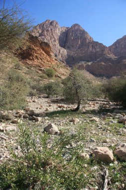 dağ manzarası. Wadi Umman