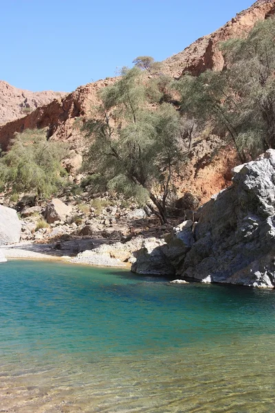 Górskiej. Wadi w oman — Zdjęcie stockowe