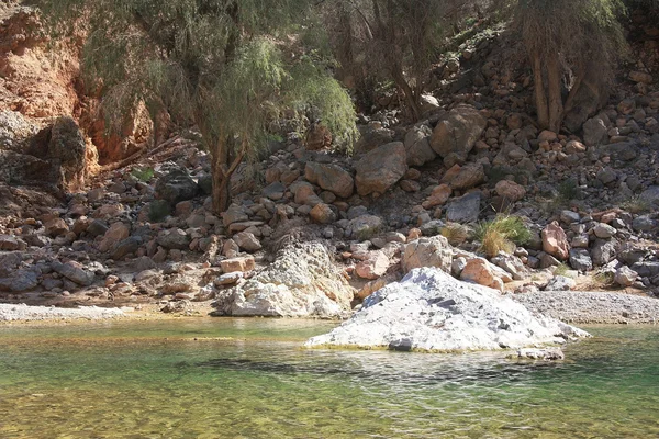 Górskiej. Wadi w oman — Zdjęcie stockowe