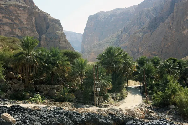 Górskiej. Wadi w oman — Zdjęcie stockowe