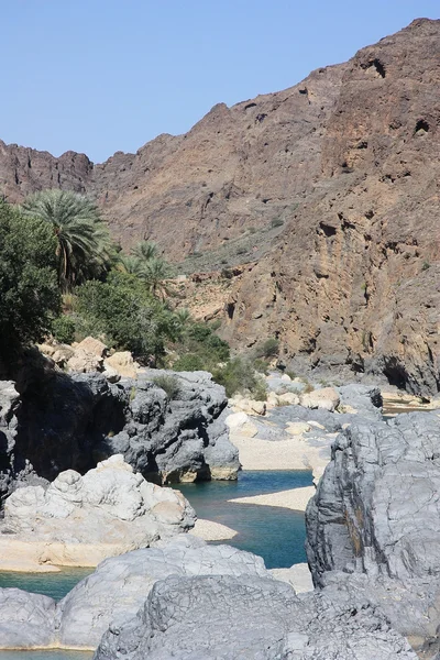 Górskiej. Wadi w oman — Zdjęcie stockowe