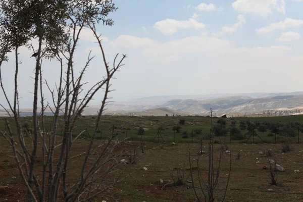 İsrail 'in muhteşem manzaraları, Kutsal Topraklar' ın Manzaraları