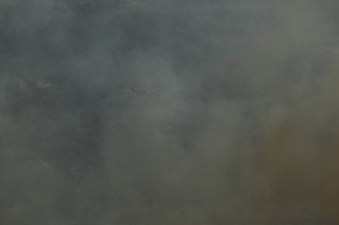 Hava Çekici AT-802 İtfaiye uçakları