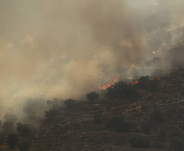Hava Çekici AT-802 İtfaiye uçakları