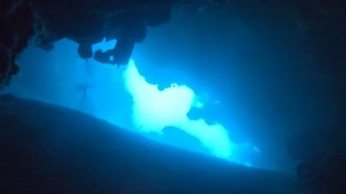 Kızıl Deniz 'deki mercan resifi ve su bitkileri, Dahab, mavi lagün Sina Mısır