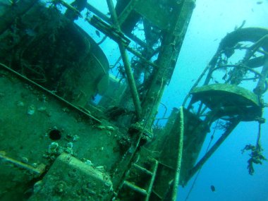 Metallerdeki deniz kirliliği ve Kızıldeniz 'deki diğer çöpler