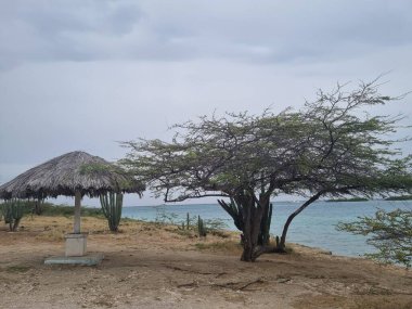 Amazing landscapes of Aruba Views of the Aruba island