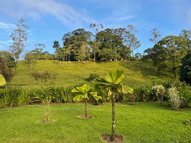 Amazing landscapes of Costa Rica Views of Costa Rica