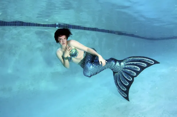 Sirena — Foto de Stock
