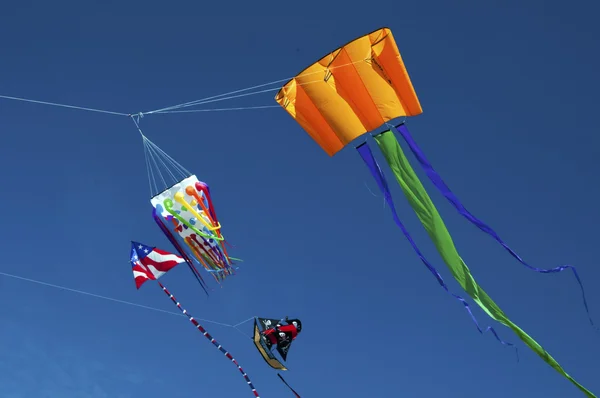 Fête du cerf-volant — Photo