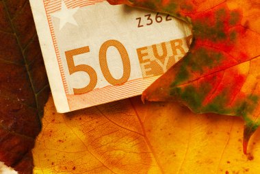 sonbahar yaprakları arasında 50 euro banknot