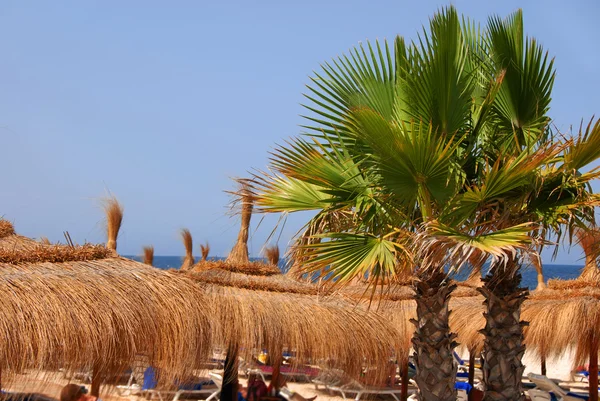 Ombrelloni da spiaggia — Foto Stock