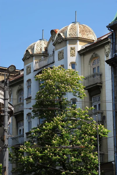 Belgrad'da bina — Stok fotoğraf