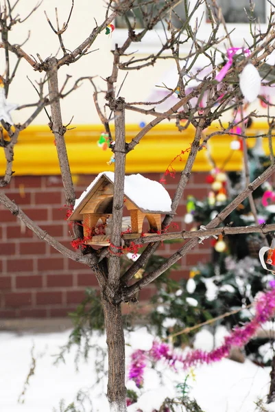 Fåglar hus på träd — Stockfoto