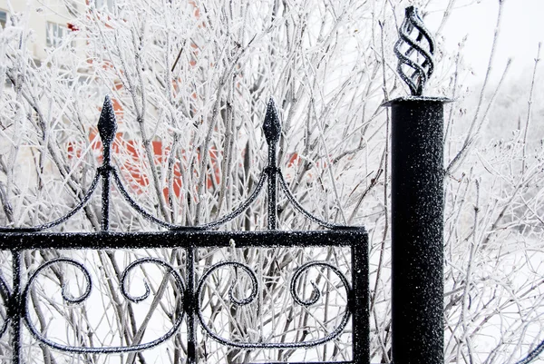 Взимку Залізний паркан — стокове фото