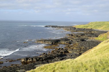 View beach, phillip Island, Avustralya