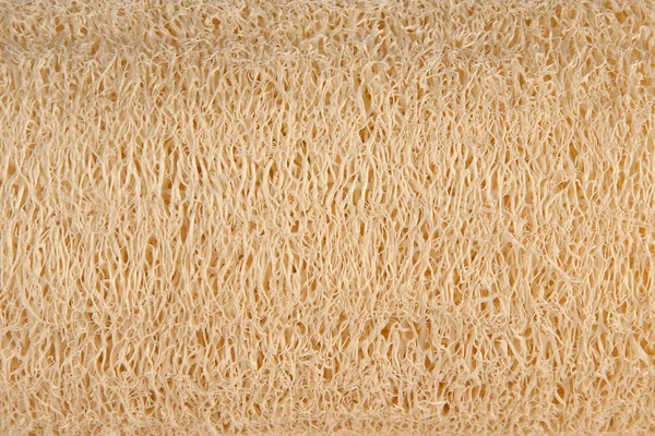 Natural luff sponge texture — Stock Photo, Image