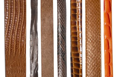Closeup of various leather belts clipart