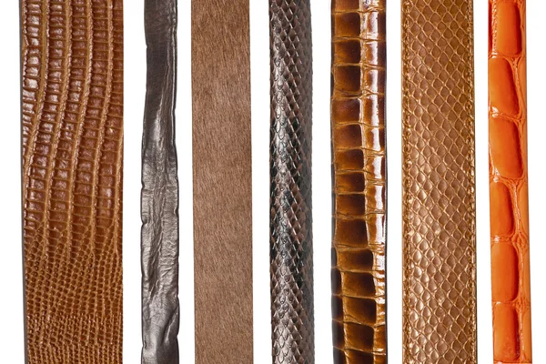 Gros plan de différentes ceintures en cuir — Photo