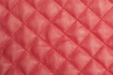 Makro kırmızı deri