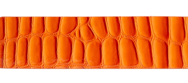Macro de ceinture en cuir orange — Photo