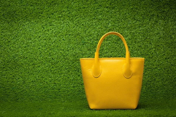 Yeşil çimenlerin üzerinde çanta — Stok fotoğraf