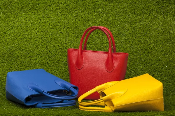 Purses on green grass — Stock Photo, Image