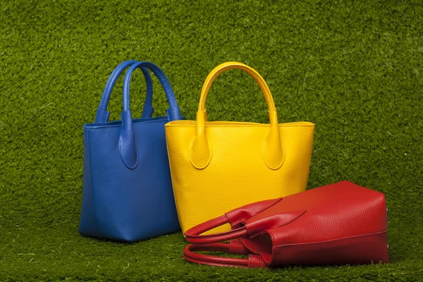 Purses on green grass — Stock Photo, Image