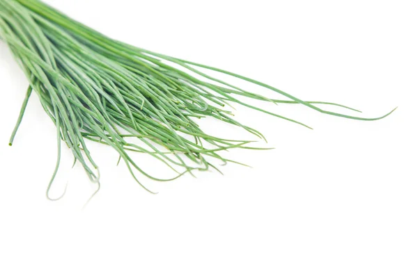 Bunch of chives — Stock Photo, Image