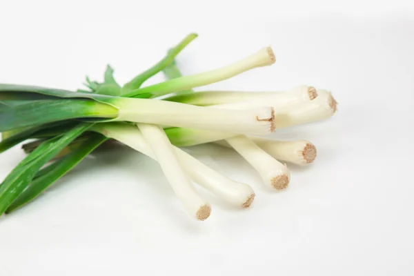 Green Onion on white background Royalty Free Stock Images