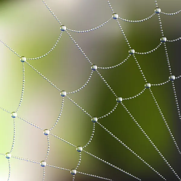 Spider web with dew drops — Stock Vector