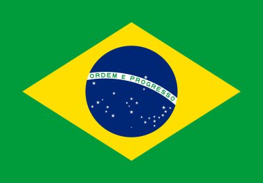 Brazil Flag. The official national flag of the Federative Republic of Brazil, a sovereign state in South America. Flat icon. Texture map. Vector illustration