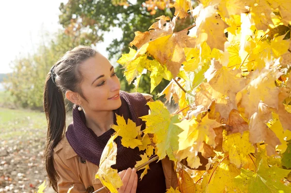 Vrouw en gele bladeren — Stockfoto