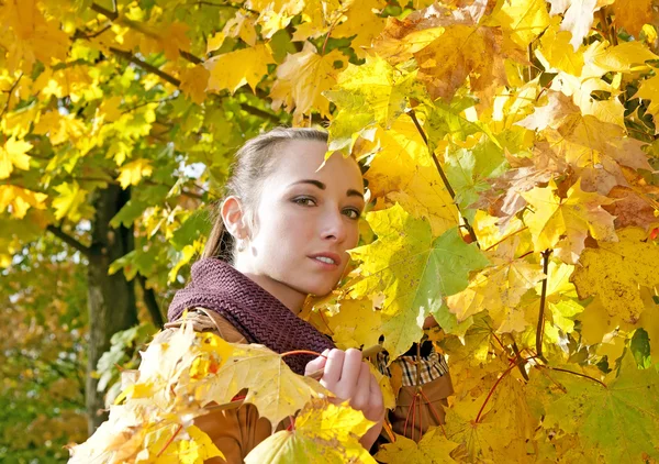 Vrouw ziet er door middel van gele bladeren — Stockfoto