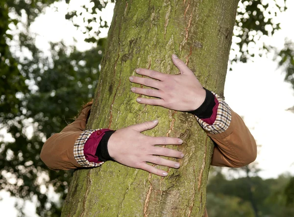 Elleri bir ağaca sarılmak — Stok fotoğraf
