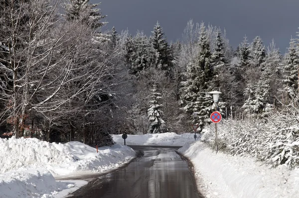 Winter forest road — Stock Photo, Image