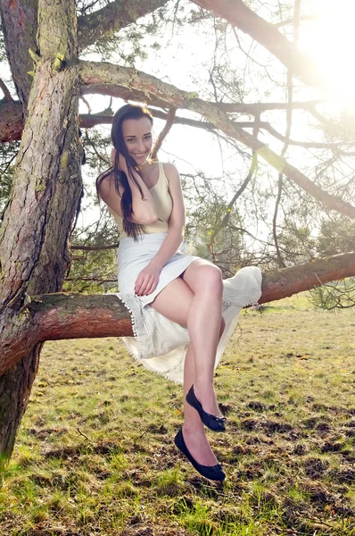 Woman sitting on a tree bench — Stock Photo, Image