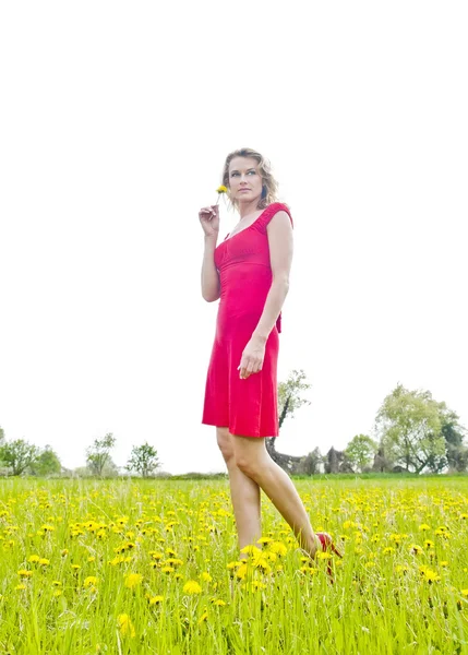 Donna che cammina sul campo di fiori — Foto Stock