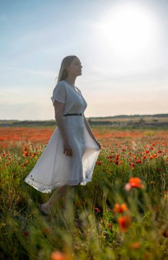 Şehvetli genç sarışın kadın Haşhaş tarlasında akşam güneşinin tadını çıkarıyor.