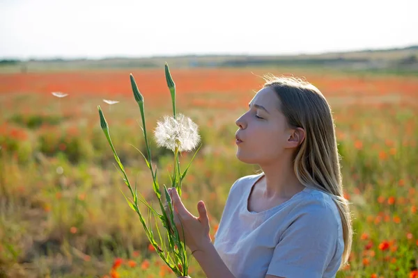 Young Woman Blowing Thistle Poppy Field —  Fotos de Stock