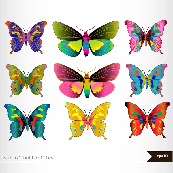 Set of different multicolored butterflies — Stock Vector