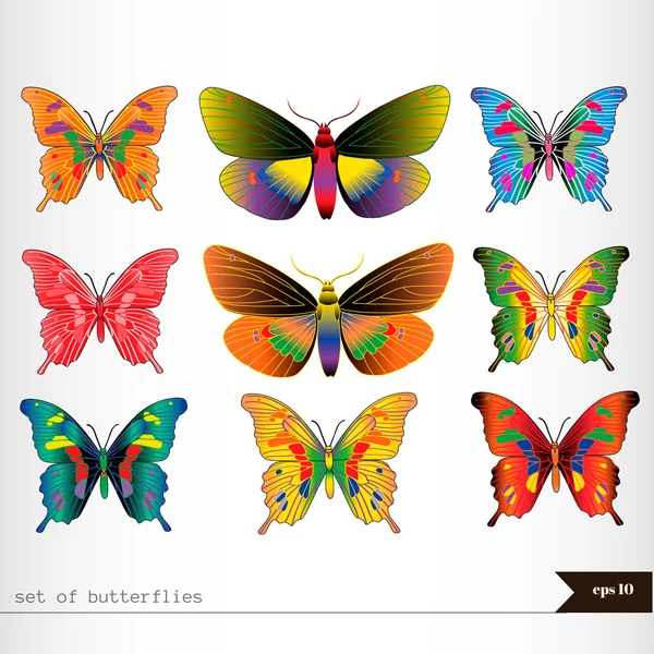 Set of different multicolored butterflies — Stock Vector